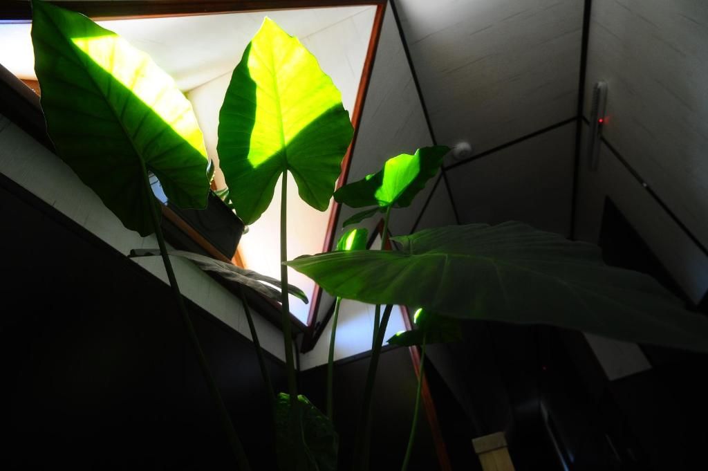 Мини-отель Hotel Galushko Микуличин-80