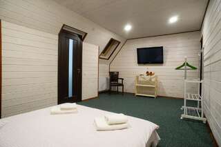 Мини-отель Hotel Galushko Микуличин Двухместный номер Делюкс с 1 кроватью и ванной-1