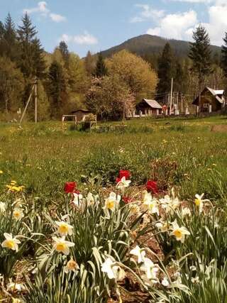 Мини-отель Hotel Galushko Микуличин Двухместный номер Делюкс с 1 кроватью и ванной-38
