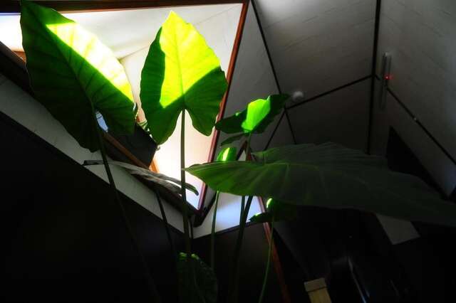 Мини-отель Hotel Galushko Микуличин-79